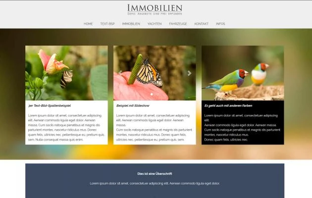 Immobilienwebsite Designsoftware EASY inkl. Gestaltung