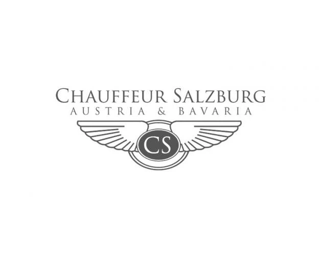 Logo-Entwicklung Pro