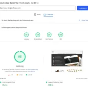 SEO-Beratung