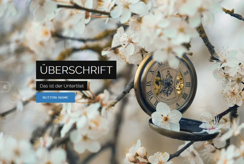 Video-Rotation mit Text & Button