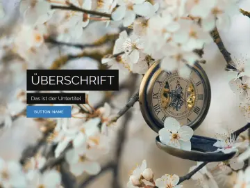Video-Rotation mit Text & Button